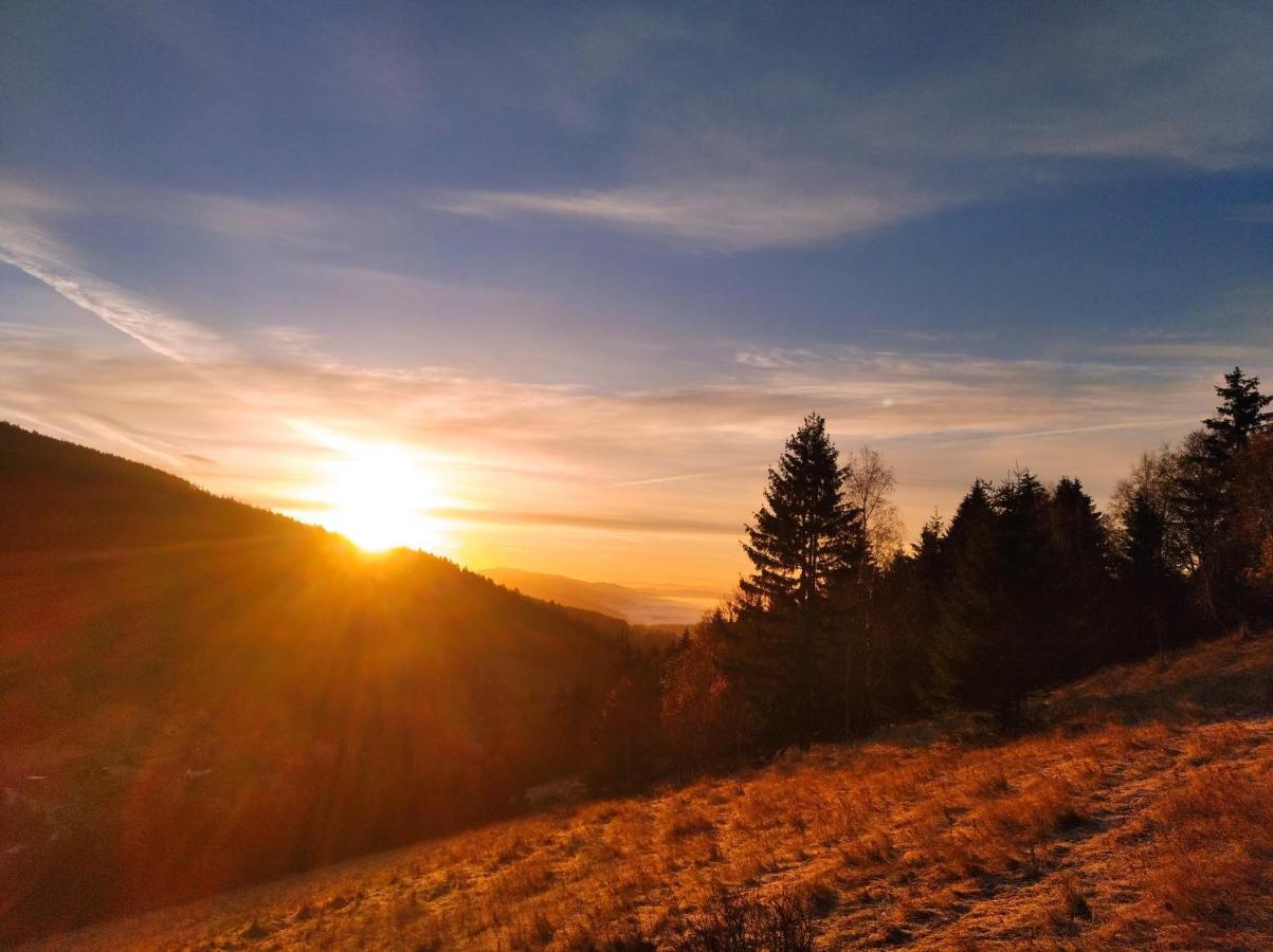 Sowi Stok Villa Sokolec Esterno foto