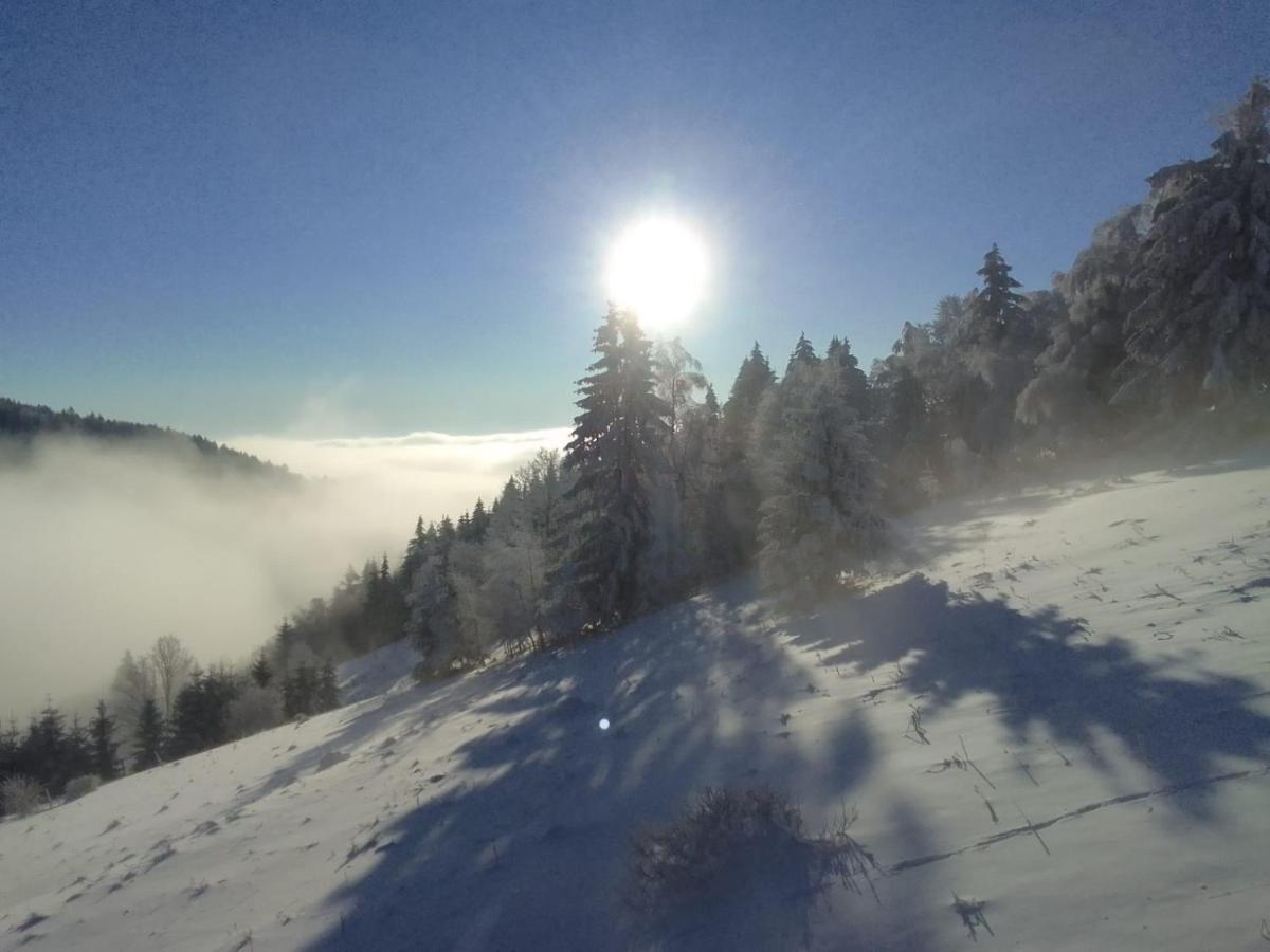 Sowi Stok Villa Sokolec Esterno foto