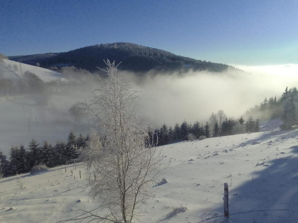 Sowi Stok Villa Sokolec Esterno foto