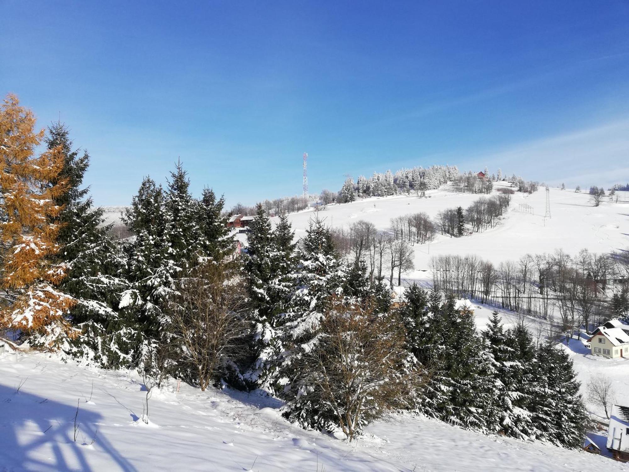 Sowi Stok Villa Sokolec Esterno foto