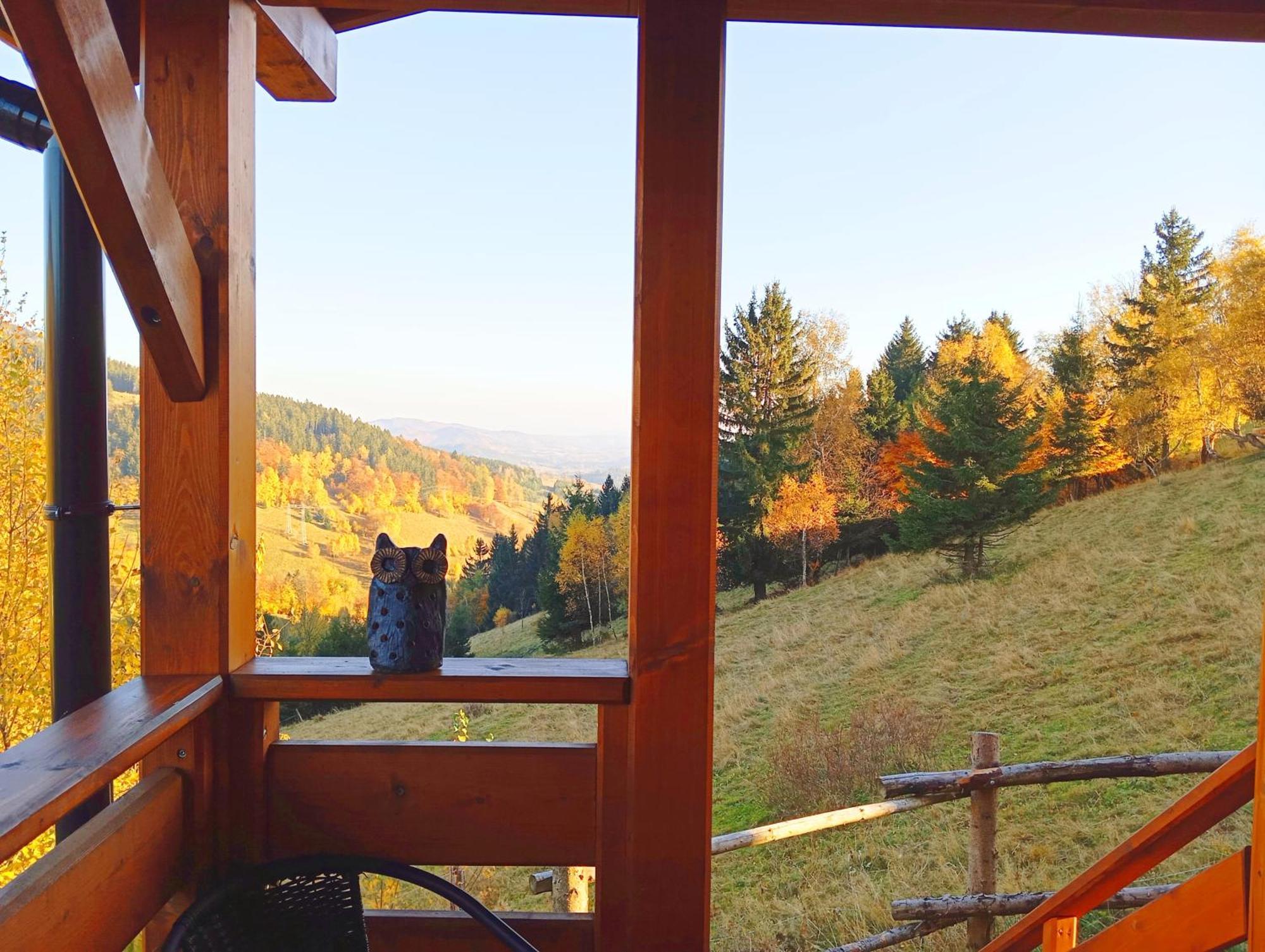 Sowi Stok Villa Sokolec Esterno foto